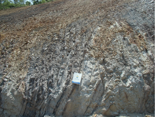 根据场地内西侧山体开挖后所形成边坡显示,强风化岩层倾角接近90度